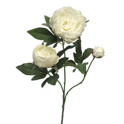 Umělá květina Pivoňka - Paeonia 'Duchesse de Luemours' (spray) krémová 70 cm
