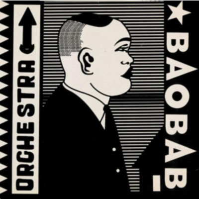 Tribute to Ndiouga Dieng (Orchestra Baobab) (Vinyl / 12" Album)