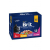 Brit Premium Cat kapsa Family Plate 1200g (12x100g), Velikost balení 1200g