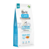 Brit Care Grain-free Junior Large Breed Salmon & Potato 12 kg + BRIT CARE Dog Dental Stick Immuno with Probiotics & Cinnamon 7szt (251g)