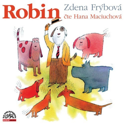 Frýbová Zdena: Robin - CD MP3 / Audiokniha