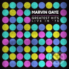 Marvin Gaye: Greatest Hits Live In '76 LP - Marvin Gaye