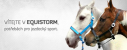 Equistorm