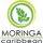 Moringa Caribbean