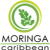 Moringa Caribbean