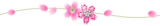www.silkperfums.sk
