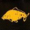 Logo Fishinginvest