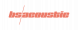 Logo BS ACOUSTIC
