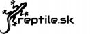 reptile.sk