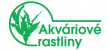 www.akvarioverastliny.sk