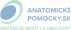 Logo Anatomicke-pomocky.sk
