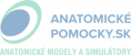 Anatomicke-pomocky.sk