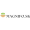 Logo magnifo.sk