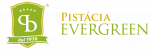 Pistácia Evergreen