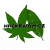 hhckratom.cz