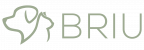 BRIU