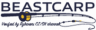 Logo www.beastcarp.sk