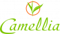 Camellia