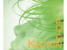 Katkin shop