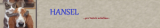 HANSEL