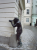 PAPARAZI