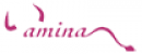 Amina Sexshop