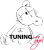 TuningToys