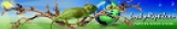 LUCKY-REPTILE.eu