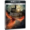 Fantastická zvířata: Brumbálova tajemství BD