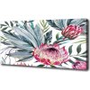 Foto obraz na plátne do obývačky Protea 100x50 cm
