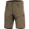 Pentagon Renegade Savanna coyote