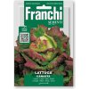 Franchi Sementi Šalát hlávkový 