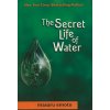 Secret Life of Water
