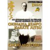 OKINAWA KEMPO KARATE JUTSU