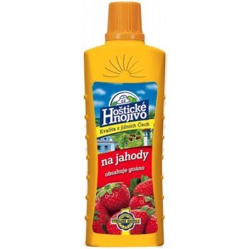 Forestina Jahody 500 ml