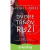 Na dvore z tŕňov a ruží - Sarah J. Maas