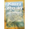 Kauza zázraky - Strobel Lee