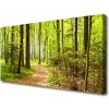 Obraz na plátne Les príroda 100x50 cm