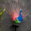 Haushalt international Haushalt international LED solárna nástenná dekorácia Peacock