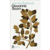Giovanni's Room - James Baldwin, Penguin Books Ltd