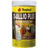 Tropical D-Allio Plus Granulat 100 ml, 60 g