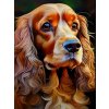 Norimpex diamantové maľovanie Kokeršpaniel 30 x 40cm