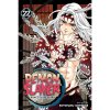 Viz Media Demon Slayer: Kimetsu no Yaiba 22