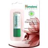 Himalaya Intensive Moisturizing Cocoa Butter balzam na pery (4,5g)