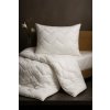 Set vankúša a paplóna Bamboo – antialergický, termoregulačný, bambusové vlákno, doprava zadarmo Veľkosť: 140x220/70x90 cm