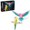 LEGO® Art 31211 Kolekcia zvierat – Papagáje ara