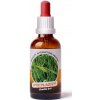 Trávníček Dračia krv - Pýr plazivy 50 ml
