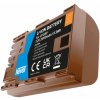 Newell LP-E6P USB-C battery for Canon