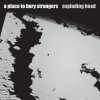 A Place To Bury Strangers: Exploding Head (Coloured Transparent Red Vinyl) - Vinyl (LP)