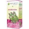 MEGAFYT Bylinková lekáreň MATERINA DÚŠKA bylinný čaj 20x1,5 g (30 g)
